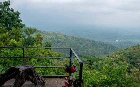 Why Chikmagalur Homestay can be a Great Accommodation Choice for Couples?