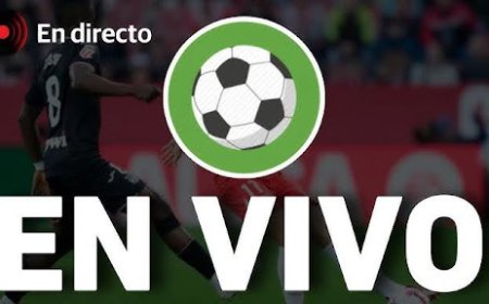 Pelota Libre: partidos de fútbol en vivo y canales deportivos online