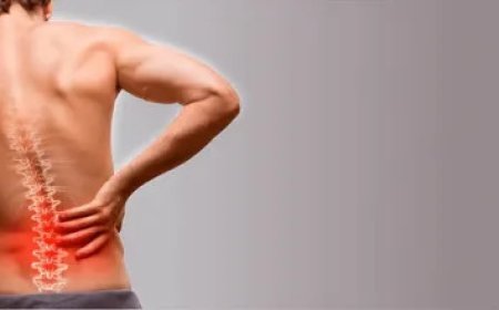 How Chiropractic Care Supports Spinal Health