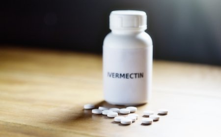 Ivermectin & Fenbendazole: Uses, Mechanism, and Safety