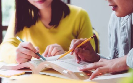 What Is Dissertation Help and When Do Students Need It?