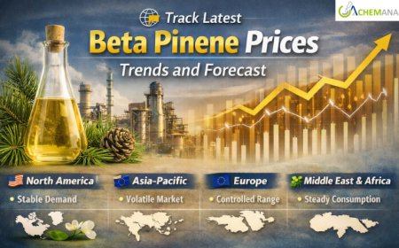 Beta Pinene Prices: Latest Market Trends, Supply Dynamics, and Forecast Outlook