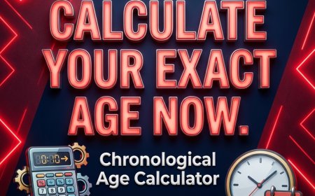 How Chronological Age Calculators Reflect Modern Web Utility Innovation