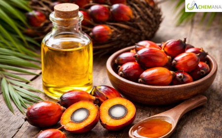 Palm Oil Prices: Latest Market Trends, Supply Dynamics, and Forecast Outlook 