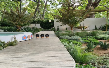 Complete Guide to Backyard Renovation with Landscaping Services