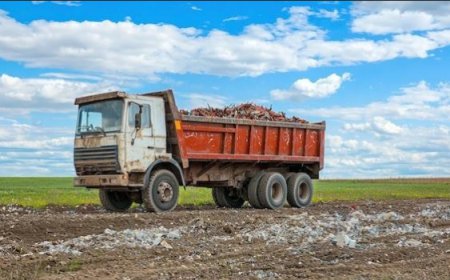 Dump Trailer Rental vs. Dumpster Rental for Home Cleanouts