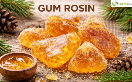 Gum Rosin Prices: Latest Market Trends, Supply Dynamics, and Forecast Outlook 2026