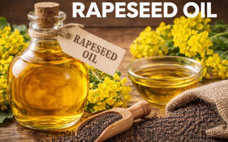 Rapeseed Oil Prices: Latest Market Trends, Supply Dynamics, and Forecast Outlook 