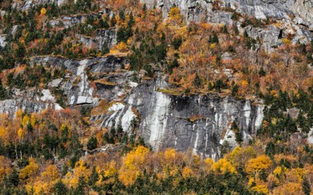 New Hampshire Wall Art Favorites by Season: Winter Peaks and Fall Color