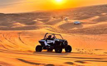 How to Plan the Perfect Desert Safari Tour in Dubai