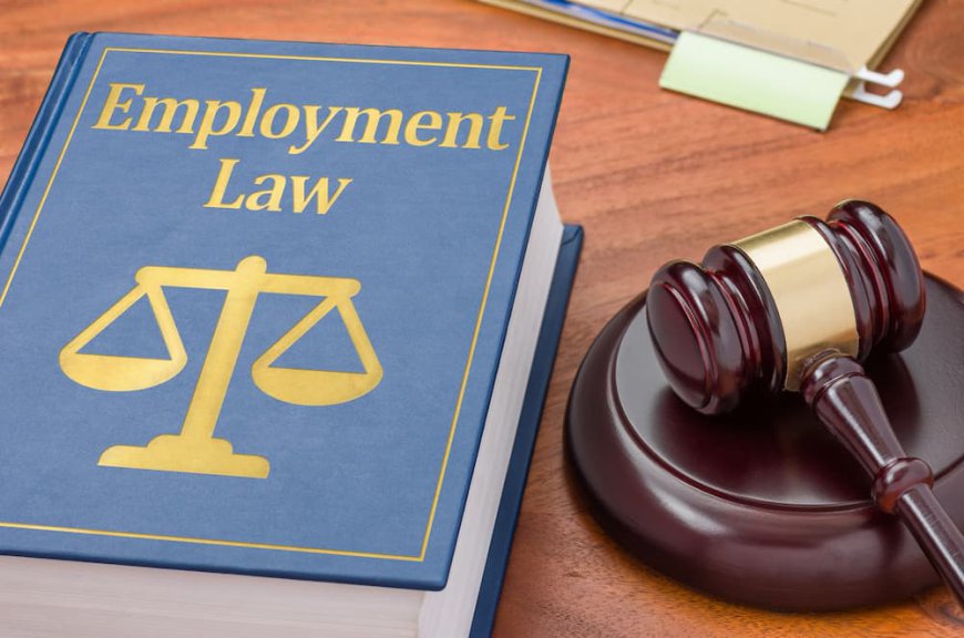 Tips to Select an Employment Lawyer in Toronto