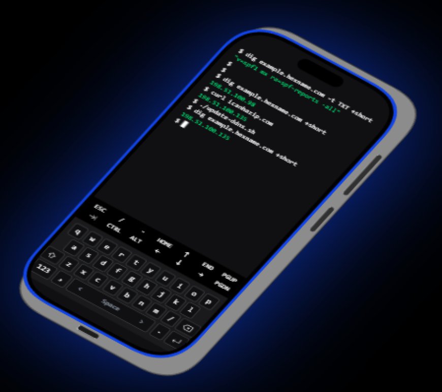 All-in-One Premium Domain Registration with Free DNS and DynDNS