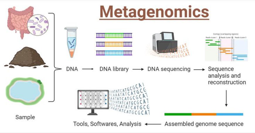 France’s Growing Influence in the Metagenomics Space
