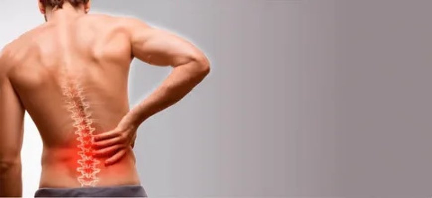 How Chiropractic Care Supports Spinal Health