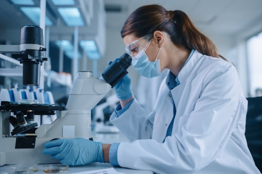 A New Era in Wellness: Dual Layer Membrane and Amniotic Membrane Products Explained
