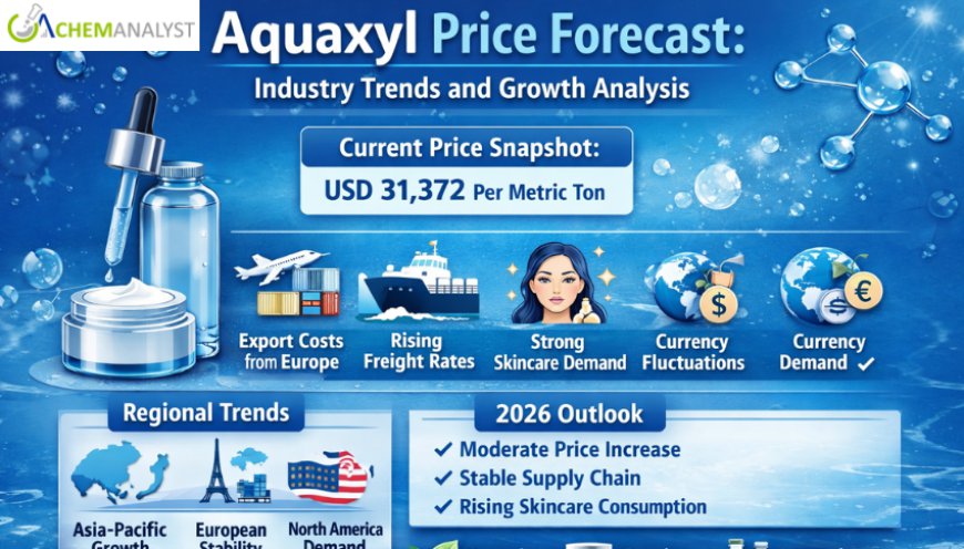 Aquaxyl Price Forecast: Industry Trends and Growth Analysis