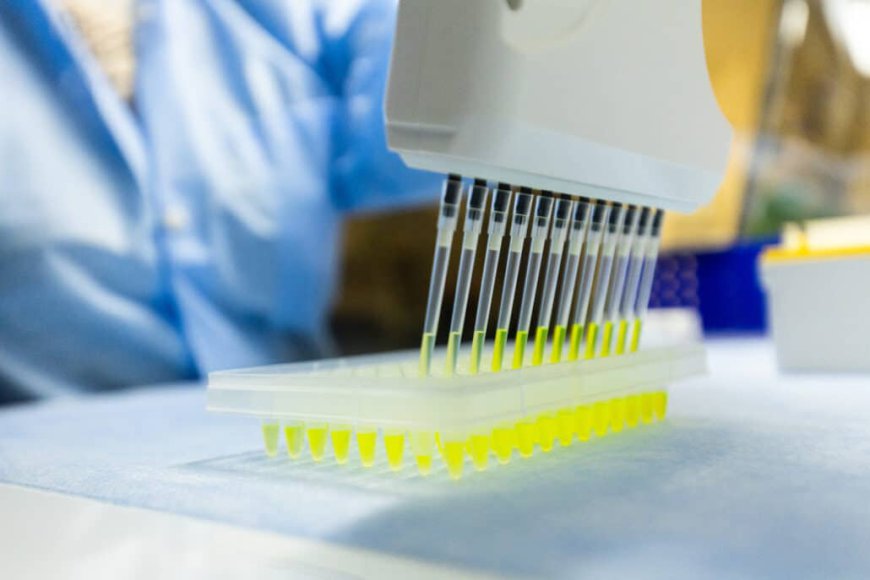 The Role of Pharmacogenetic Testing in Healthcare