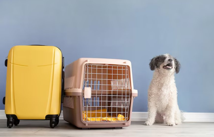 Canada Pet Import Documents You Must Prepare