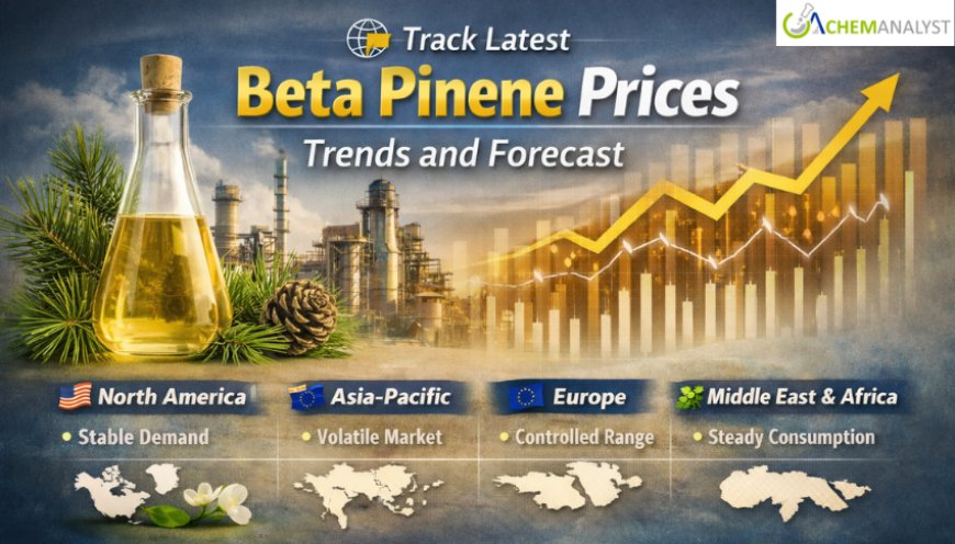 Beta Pinene Prices: Latest Market Trends, Supply Dynamics, and Forecast Outlook