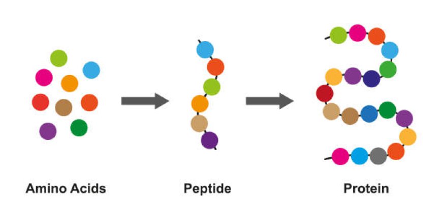 Why Some Labs Avoid Marketplaces and Prefer Direct GG Peptides for Sale Online