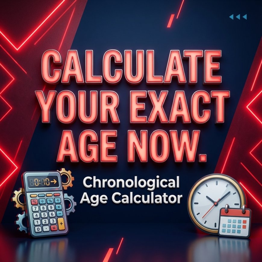 How Chronological Age Calculators Reflect Modern Web Utility Innovation