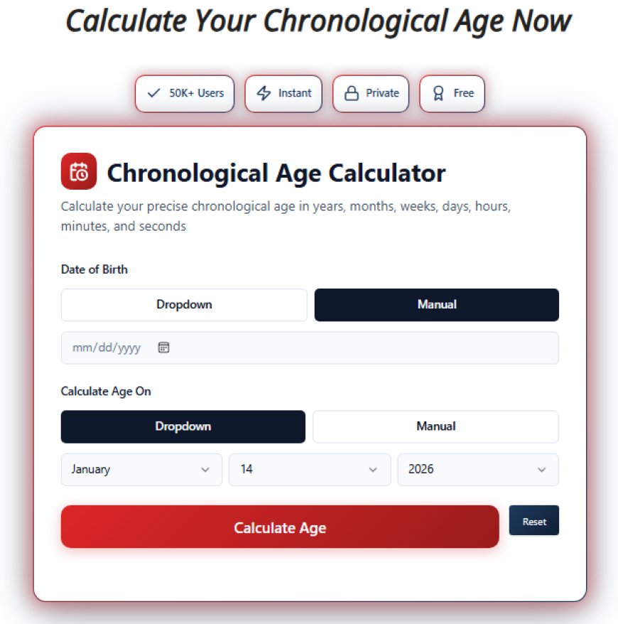 How Chronological Age Calculators Reflect Modern Web Utility Innovation