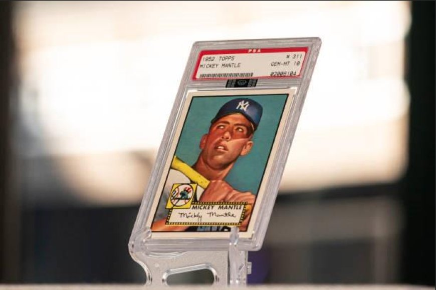 Rookie Cards Timeline: When to Buy Before the Season, During the Hype, or After?