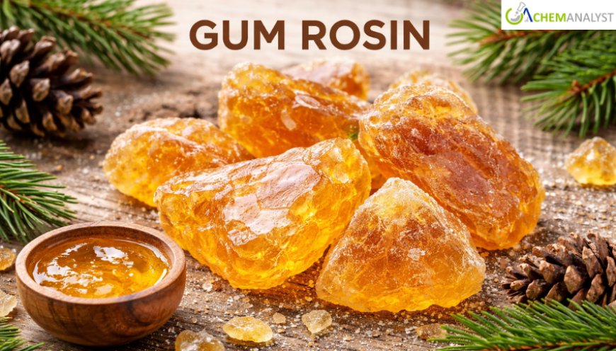 Gum Rosin Prices: Latest Market Trends, Supply Dynamics, and Forecast Outlook 2026