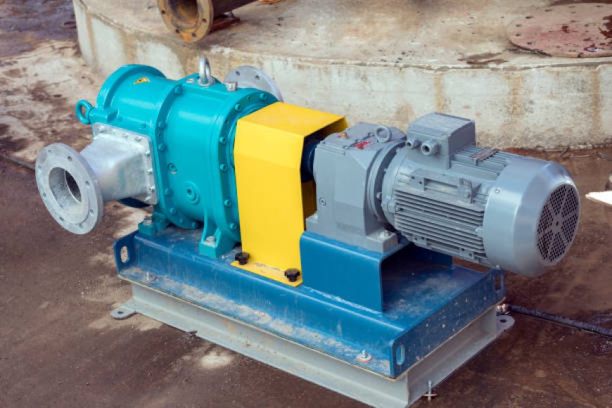 South America Positive Displacement Pump Market Industry Drivers, Trends, and Regional Outlook
