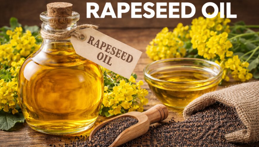 Rapeseed Oil Prices: Latest Market Trends, Supply Dynamics, and Forecast Outlook 