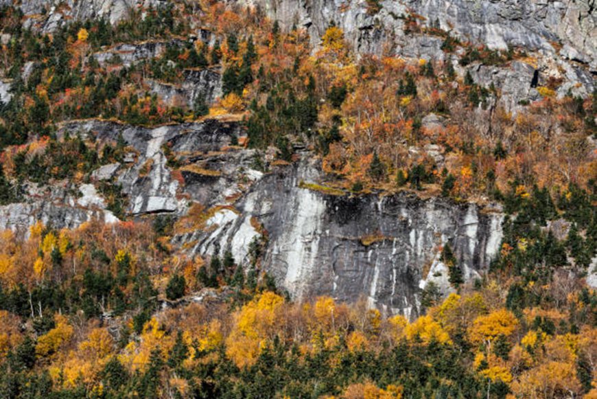 New Hampshire Wall Art Favorites by Season: Winter Peaks and Fall Color