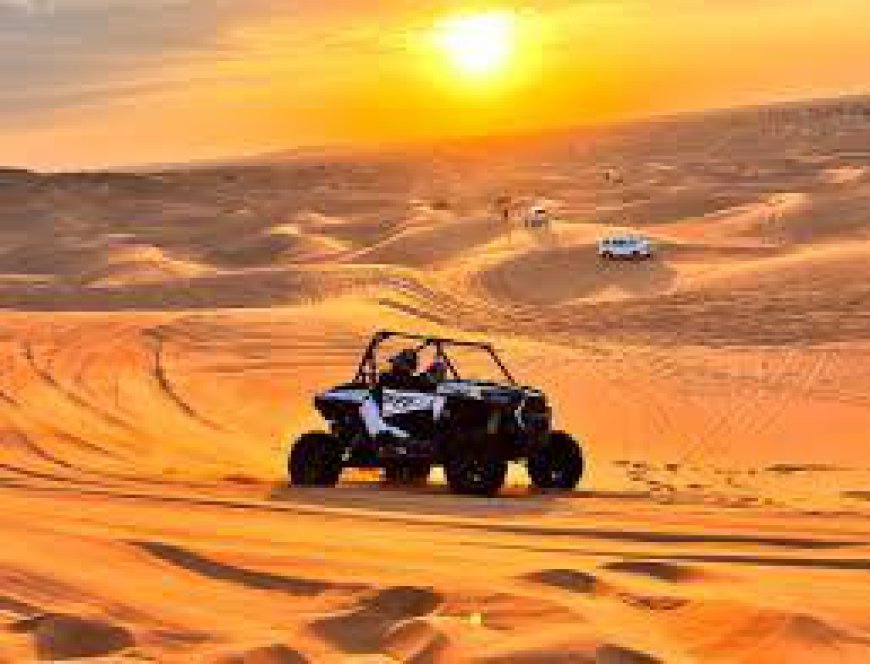 How to Plan the Perfect Desert Safari Tour in Dubai