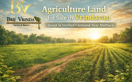 Agriculture Land for Sale in Vrindavan: A Smart Step Toward Peaceful Living & Profitable Investment