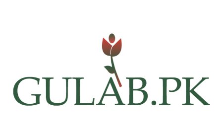 Online Plants in Pakistan – Greenery at Your Doorstep