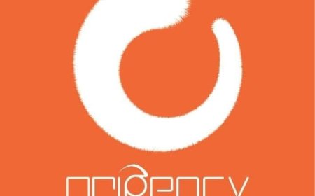 Professional Marketing Agency in Pakistan for Business Success