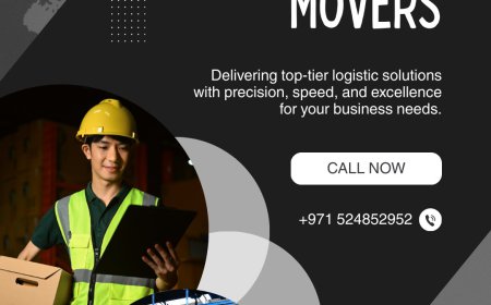 Professional Movers | Prime Zone Movers