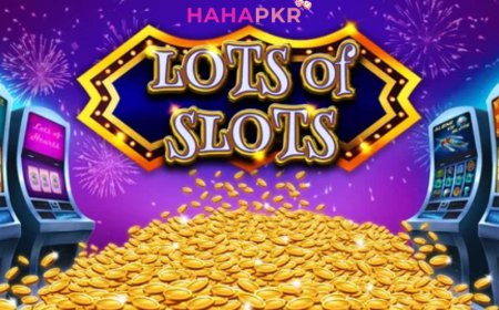 Best Free Slot Games for Players | hahapkr Play Now