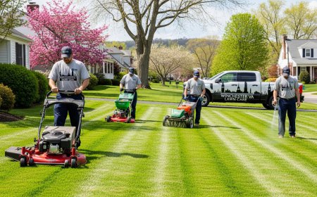 Lawn Care Winchester VA | Professional Lawn Services