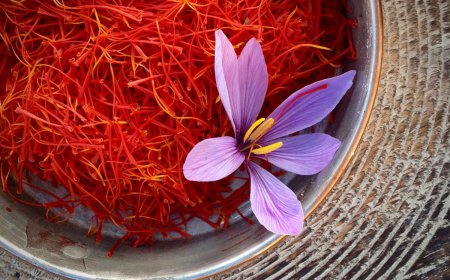 Rising Demand in Culinary and Healthcare Driving the Japan Saffron Market