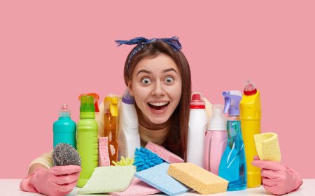 Simplifying Life with Essential Household Products