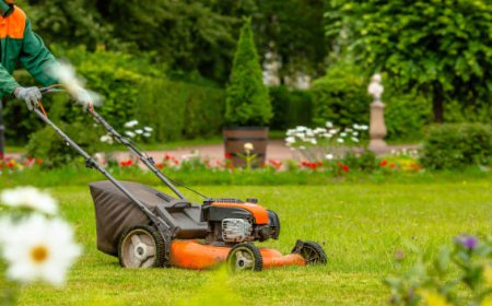 What Insider Tips Do Lawn Weed Control Companies Offer for a Healthy Lawn?