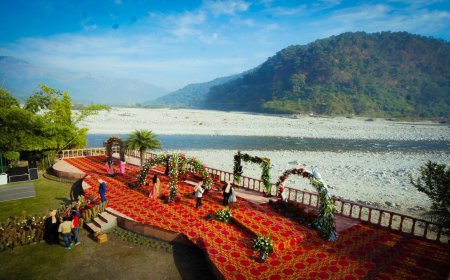 A Perfect Blend of Romance and Nature – Destination Wedding in Jim Corbett