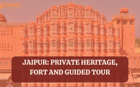Jaipur: Private Heritage, Fort and Guided Tour – Explore the Royal Pink City