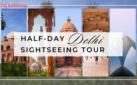Half-Day Delhi Sightseeing Tour: Explore the Best of Delhi in Just a Few Hours