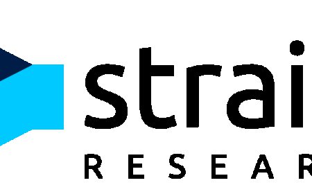 Construction Plastic Market Segment-Wise Industry Share and Outlook to 2033