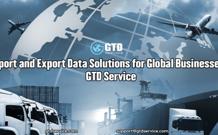 Import and Export Data Solutions for Global Businesses – GTD Service