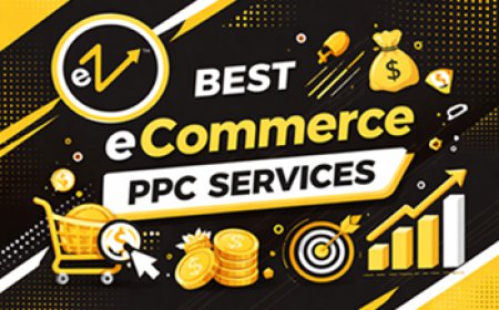 High-Performing eCommerce PPC Services for Maximum Conversions