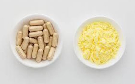 Alpha Lipoic Acid Metabolic Booster: The Science Behind Energy and Metabolic Health