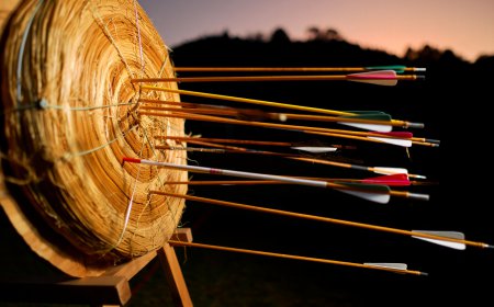 Shillong Night Teer Result – Latest Updates & Winning Numbers