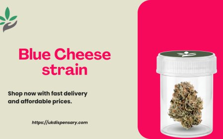 Best Blue Cheese Strain Cannabis Guide | UK Dispensary